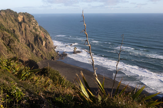 Piha to Whatipu Coastline Walk - Auckland NZ