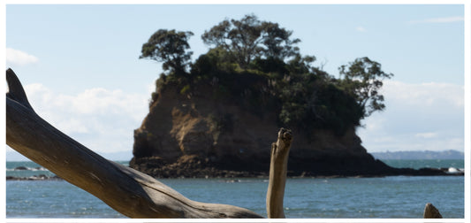 Waiake Beach 🏖️