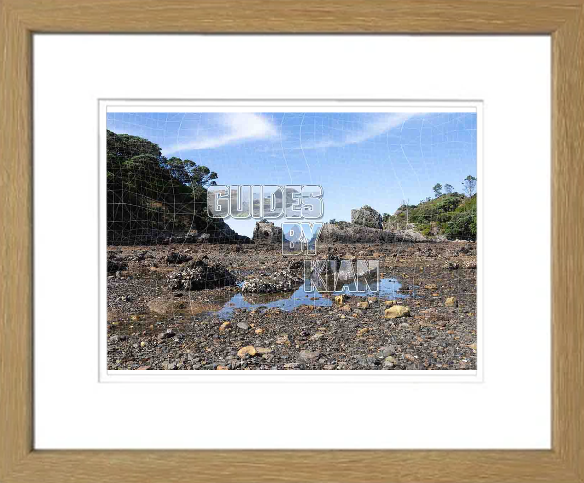Bay of Islands & Motuarohia Island