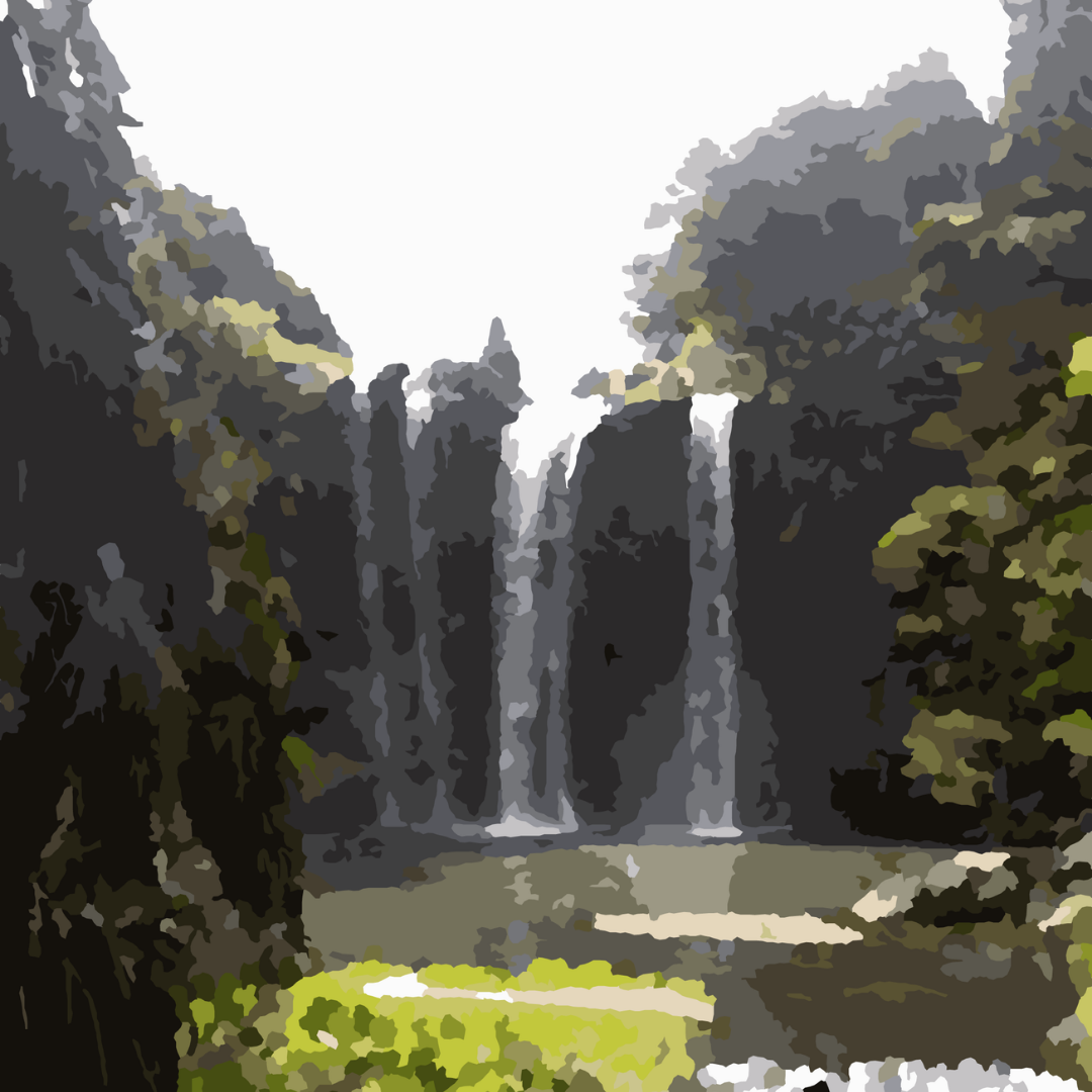 🎨 Whangārei Falls