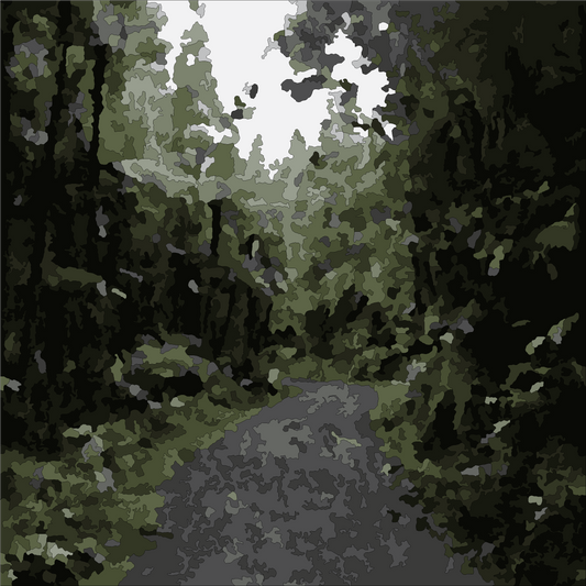 🎨 Te Piringa | Cascade Kauri