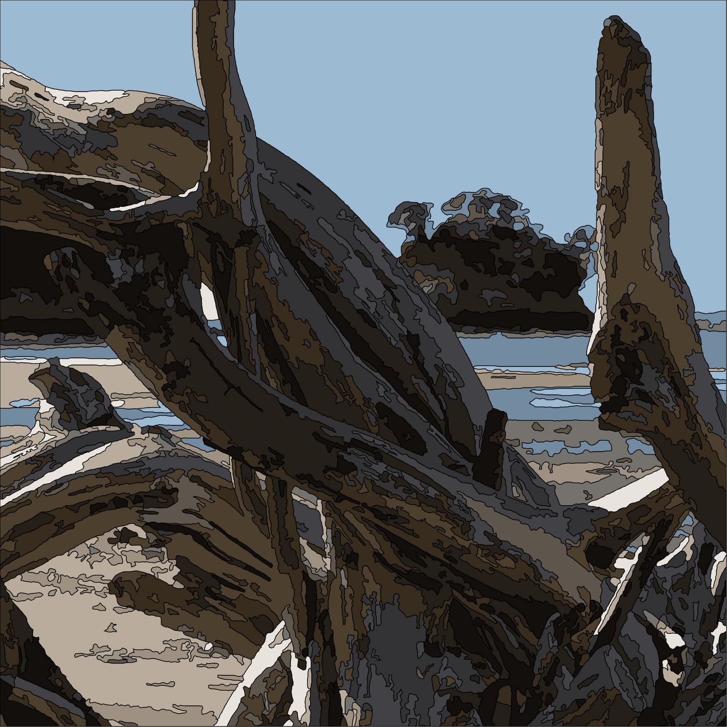 π¨ Waiake Beach