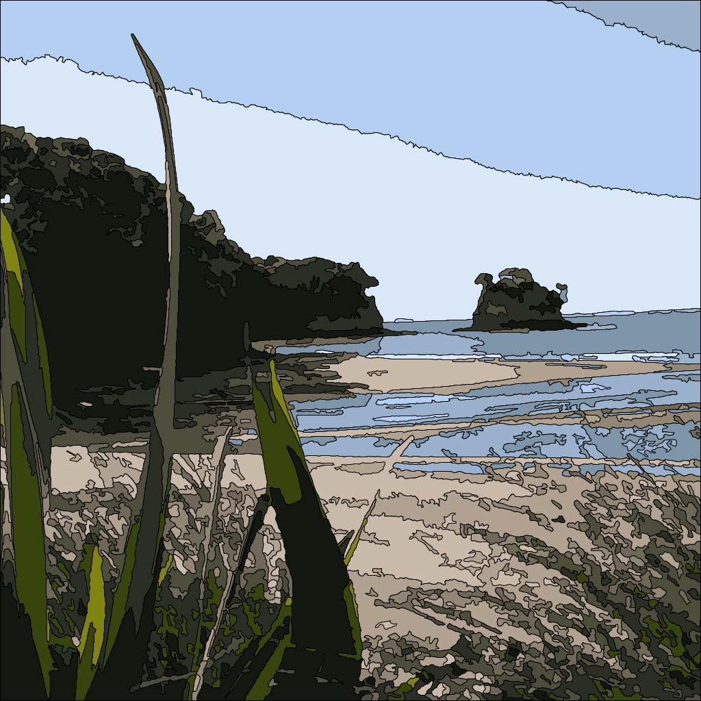 🎨 Waiake Beach
