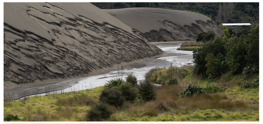 Bethells Beach Sand Dunes 🏜️
