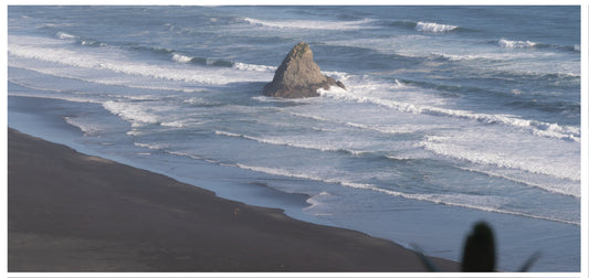 Comans Track & Mercer Bay Loop 🥾 🏖️