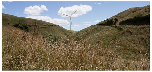 Manawatu Gorge & Te Apiti Wind Farm 🌿 💨