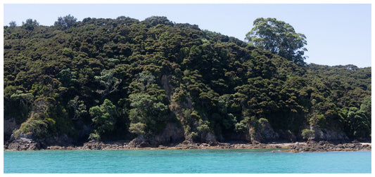 Bay of Islands & Motuarohia Island