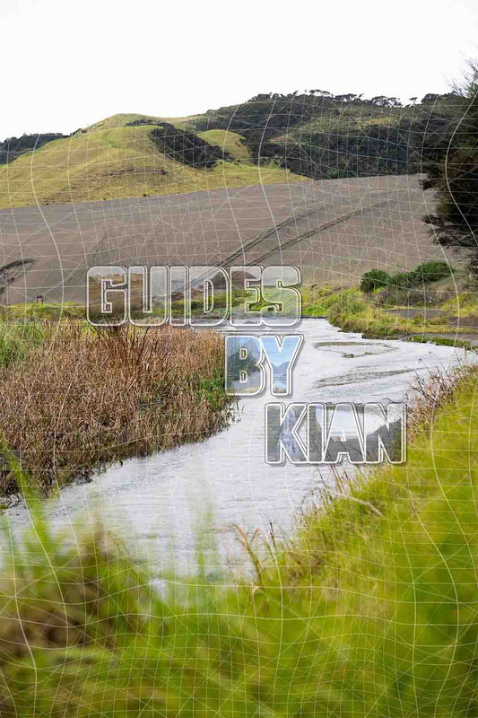 Bethalls Beach Sand Dunes