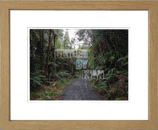 Te Piringa | Cascade Kauri