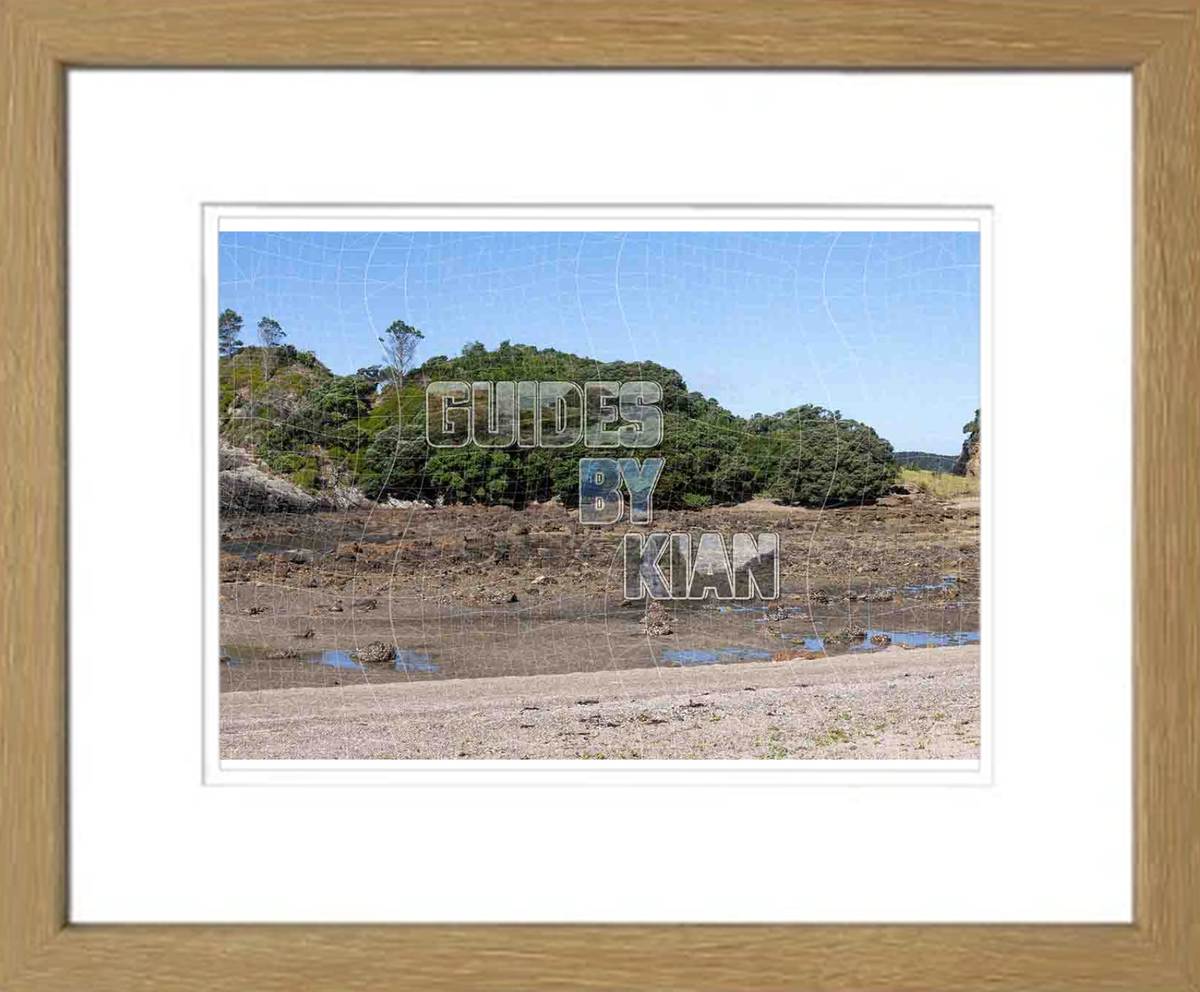 Bay of Islands & Motuarohia Island