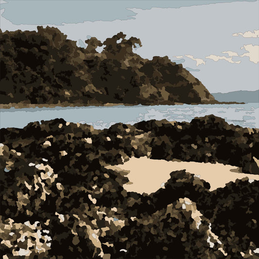 🎨 Mataitai Beach