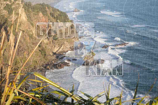 Mercer Bay Track