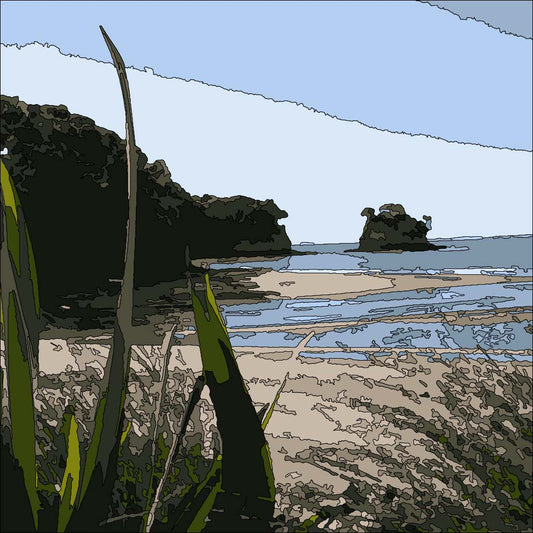 🎨 Waiake Beach