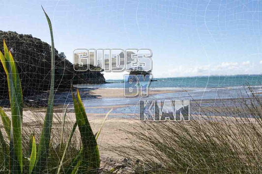 Waiake Beach